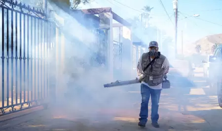 Acciones preventivas contra dengue, zika y chikungunya