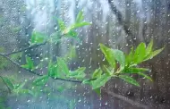 Peligro latente! Evita usar agua y electrnicos durante tormentas de rayos