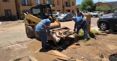Atienden afectaciones por intensas lluvias