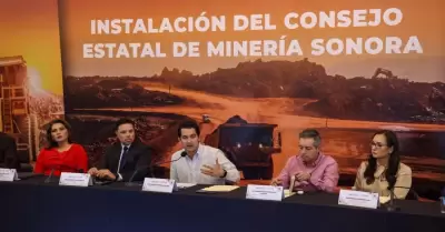 Consejo Estatal de Minería
