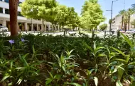 Gobierno de Hermosillo cuenta con amparo del PJ en caso de remodelacin del bulevar Hidalgo