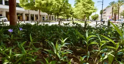 Bulevar Hidalgo