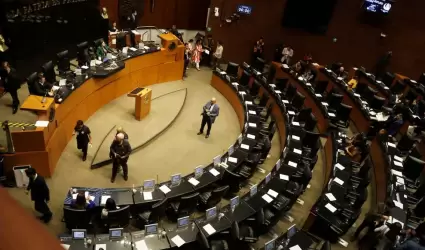 Senado