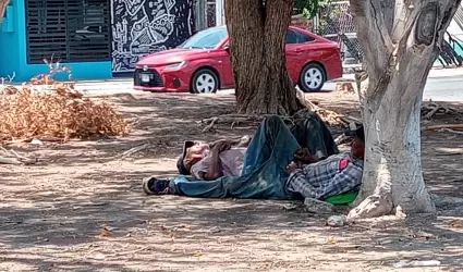 Calor Sonora