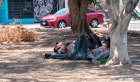 Calor Sonora