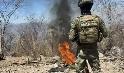 Seguridad