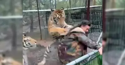Tigre intenta atacar a mujer en parque turístico de Mazamitla