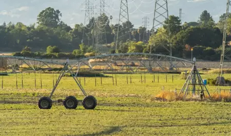 Riego, agricultura