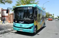 Reabre H Bus portal de inscripciones para horarios y rutas especficas