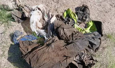 Hallazgo de Buscadoras por la Paz en la Mesa del Seri