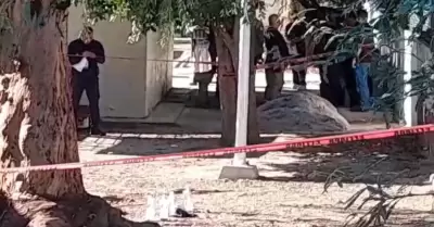 Hallan bombas molotov en escuela primaria