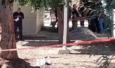 Hallan bombas molotov en escuela primaria