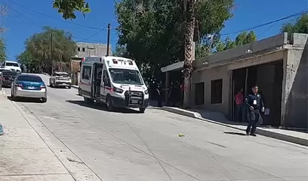 Asesinato en la colonia Insurgentes