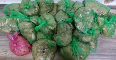 Droga asegurada