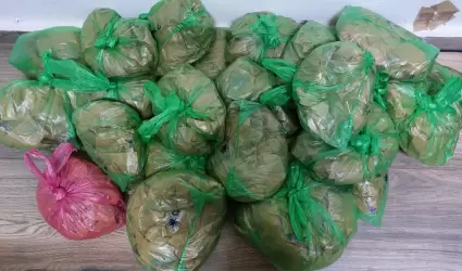 Droga asegurada