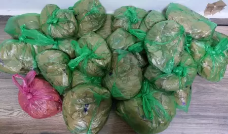 Droga asegurada
