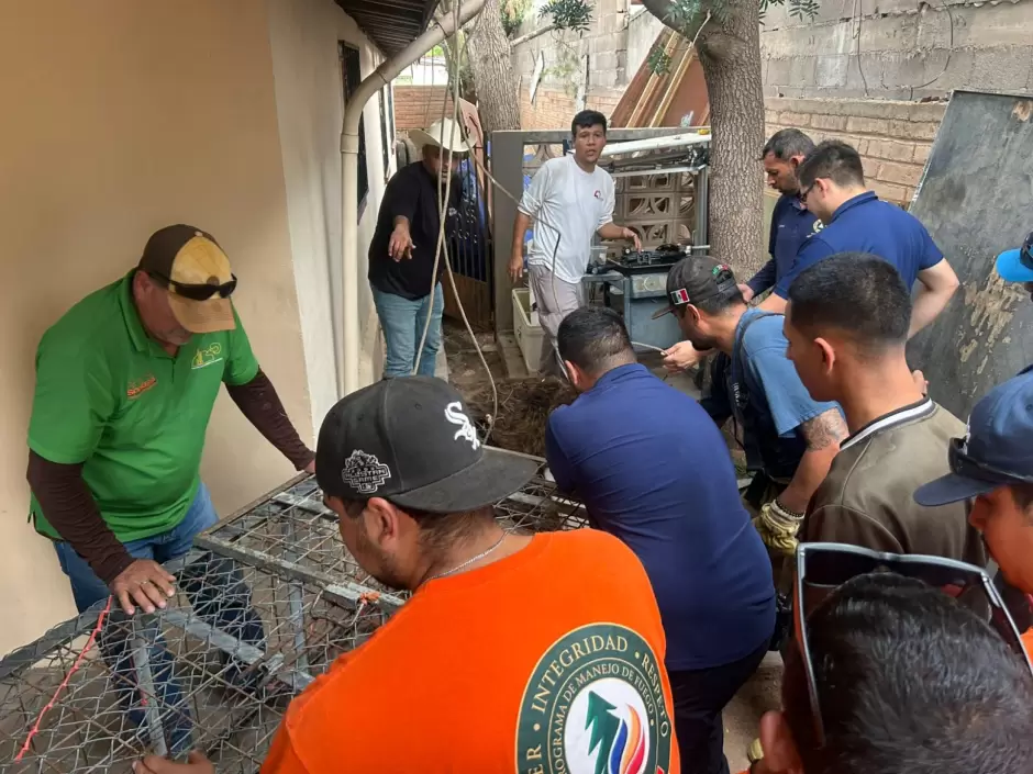 Rescate de oso.