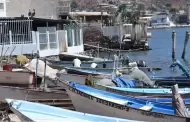 Ya hay fecha en Sonora para levantar la veda para la pesca de camarn