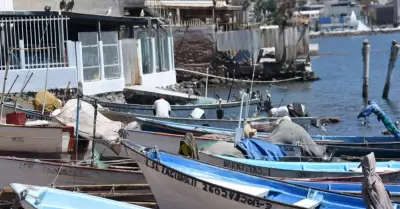 Pesca de camarón