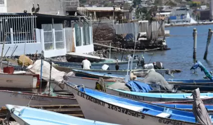 Pesca de camarn