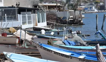 Pesca de camarn