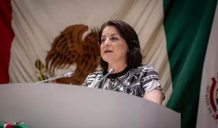 Diputada Gabriela Flix