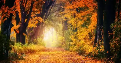 Otoño