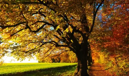 Otoño
