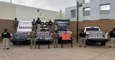 Cateo en San Luis Río Colorado