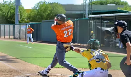 Naranjeros