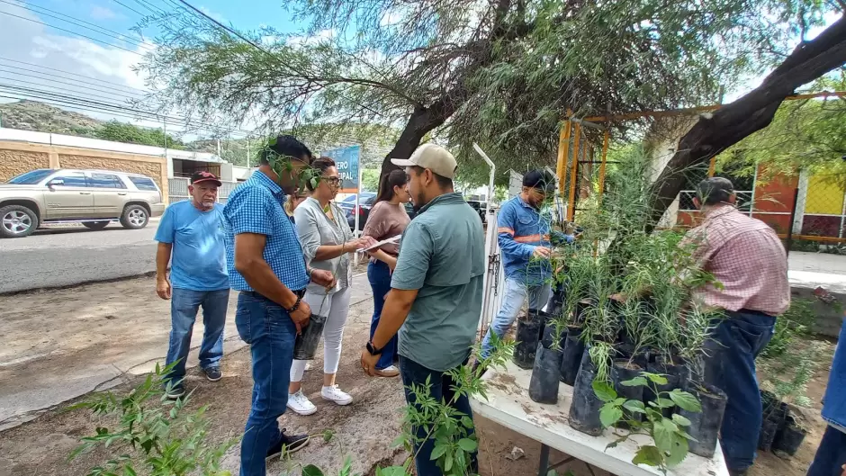 Donacin de plantas del programa "Hermosillo Crece Verde"
