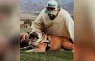 Muere Roscoe, la amada mascota de Luis Hamilton