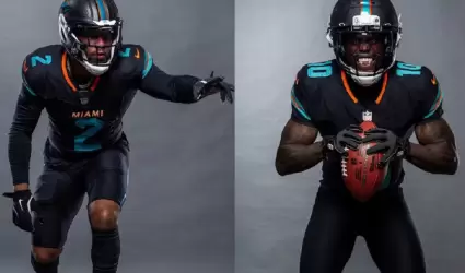 Dolphins de Miami