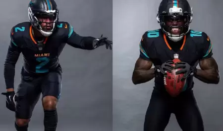 Dolphins de Miami