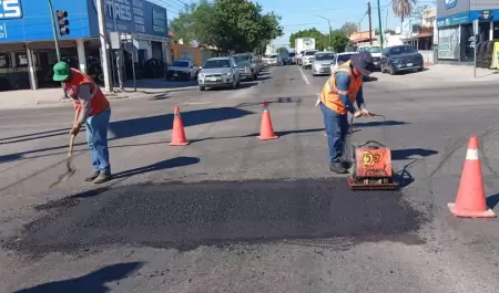 Bacheo