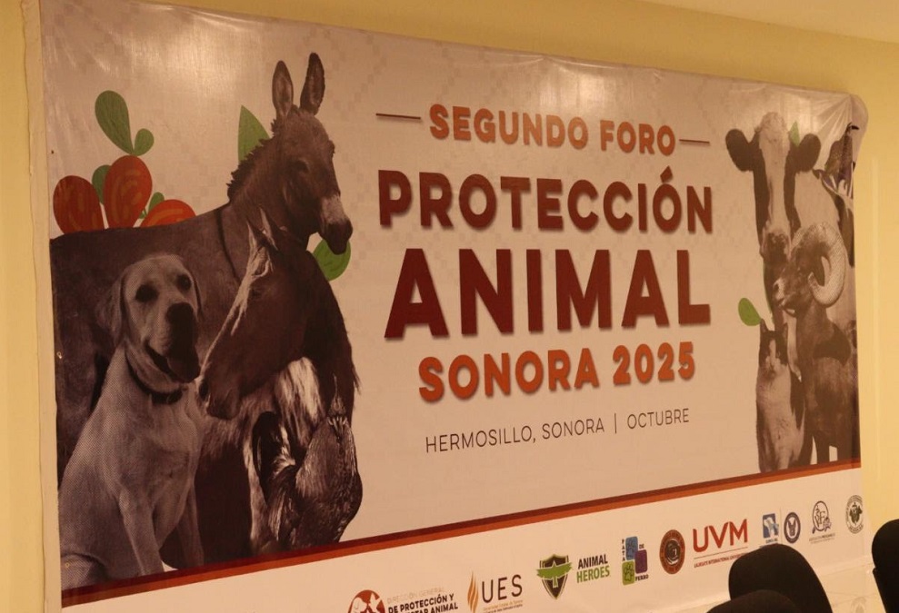 Concluye con éxito el Foro de Protección y Bienestar Animal Sonora 2025 ...
