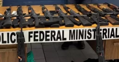 Armas largas