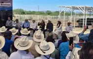 Prohben ingreso a Sonora de ganado de zonas afectadas con gusano barrenador