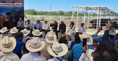 Ganaderos de Sonora