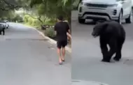 VIDEO ngel Correa vive tenso momento al toparse con un oso