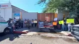 Exigen que no se sacrifiquen perros sanos