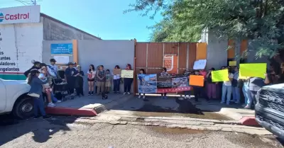 Exigen que no se sacrifiquen perros sanos