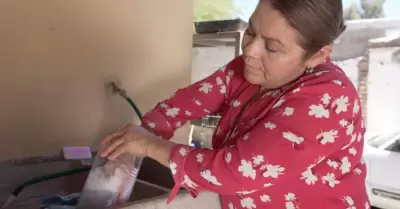 Prevenir la proliferacin del dengue