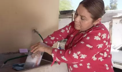 Prevenir la proliferacin del dengue