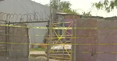 Ataque en la colonia Solidaridad