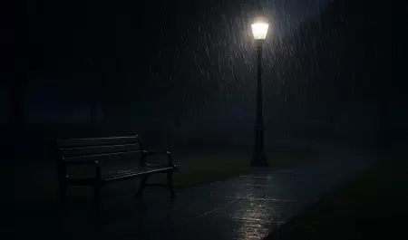 Lluvia nocturna