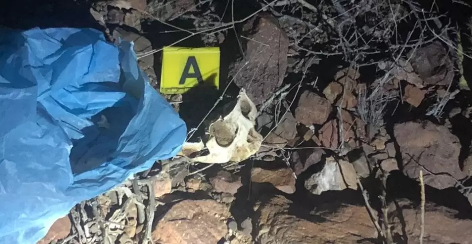 Restos seos localizados en Punta Chueca en 2024