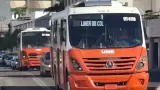 Camiones, transporte