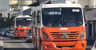 Camiones, transporte
