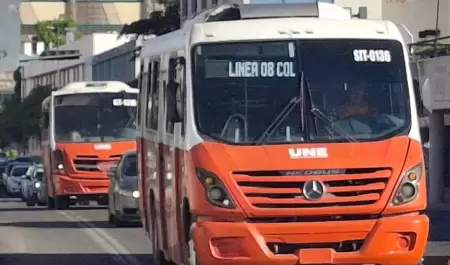 Camiones, transporte